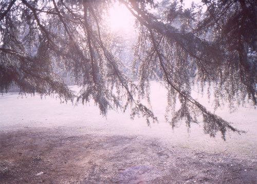 junichi sakamoto photographer photography