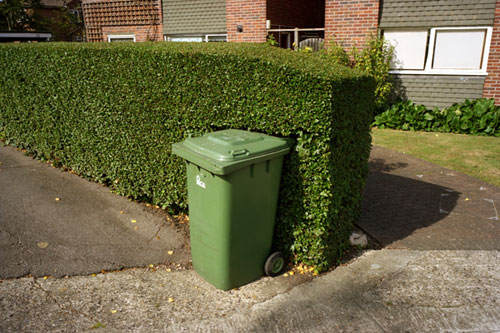 sean stewart photographer photography