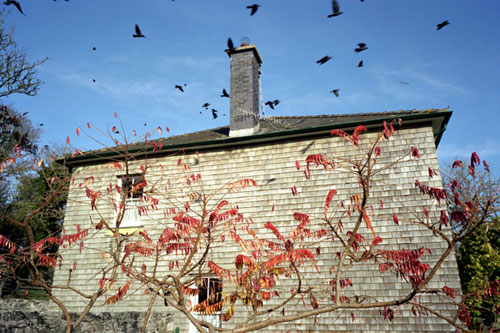 sean stewart photographer photography