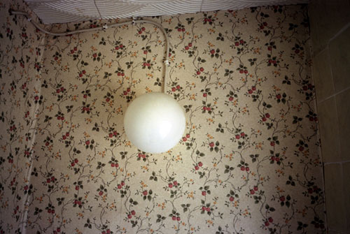 sean stewart photographer photography