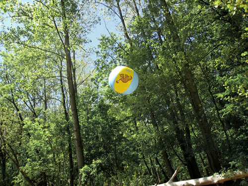 sydney shen photography photographer