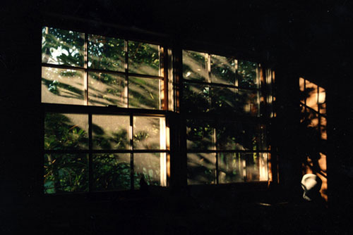 sydney shen photography photographer