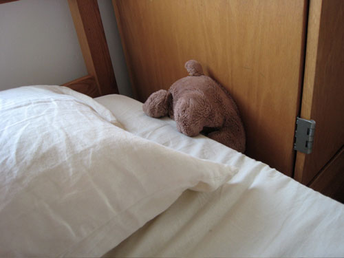 sydney shen photography photographer