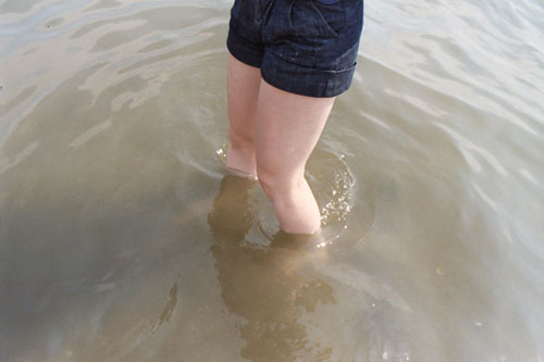 sydney shen photography photographer