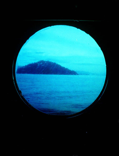 tasha lutek photographer photography