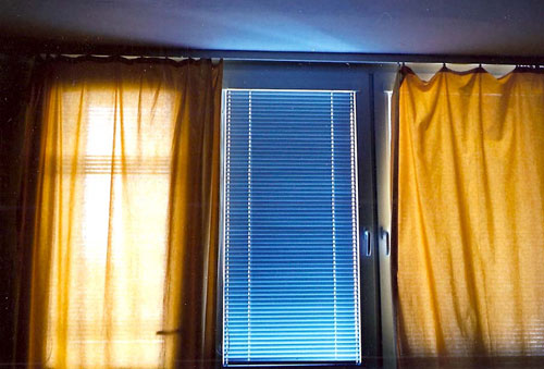 tasha lutek photographer photography