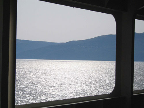 tasha lutek photographer photography