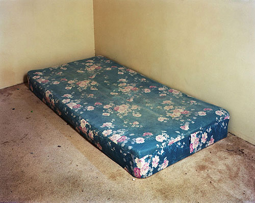 tj proechel photographer photography