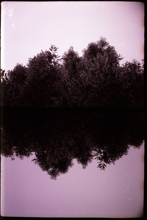 dima belush photographer photography agat 18k half frame camera