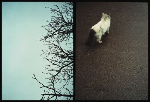 dima belush photographer photography agat 18k half frame camera