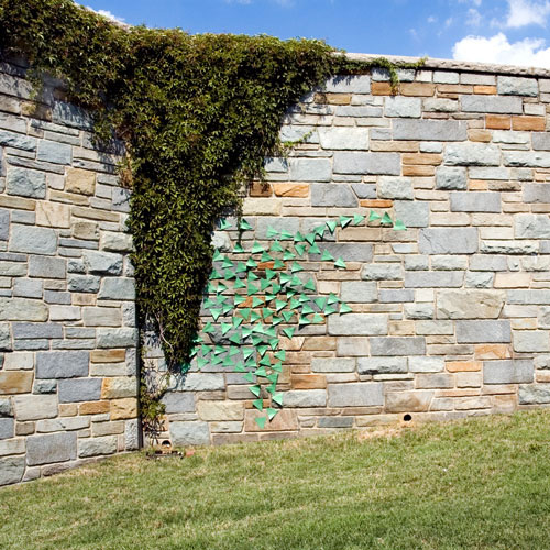 ding ren photographer photography