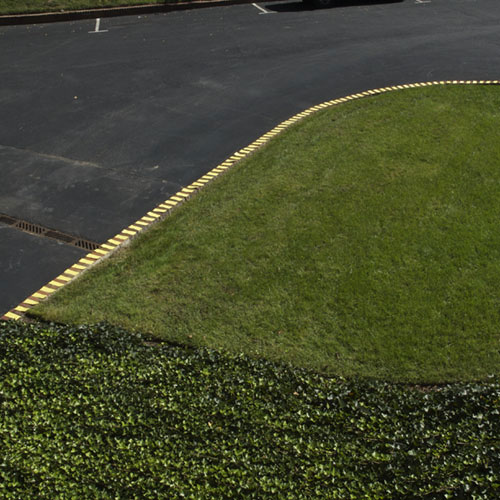 ding ren photographer photography