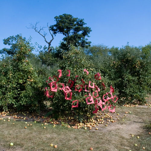 ding ren photographer photography