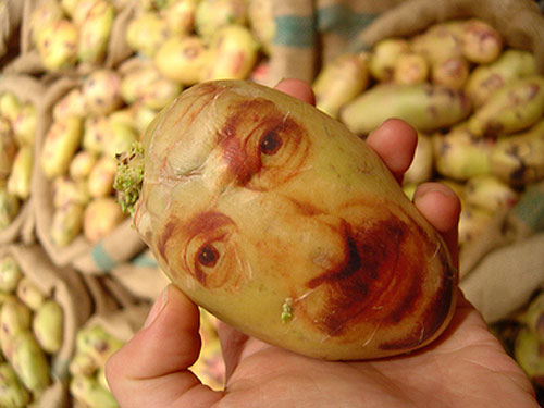 ginou choueiri potato portrait