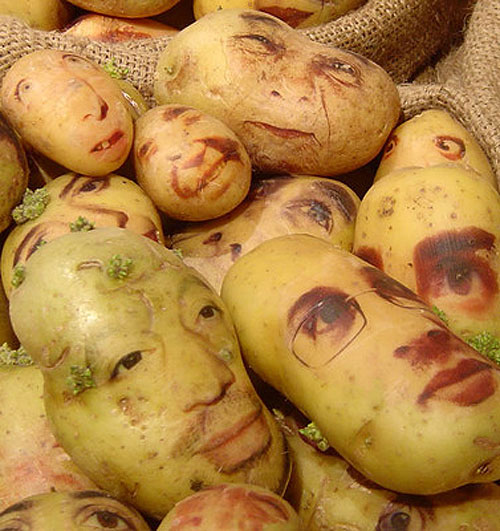 ginou choueiri potato portrait