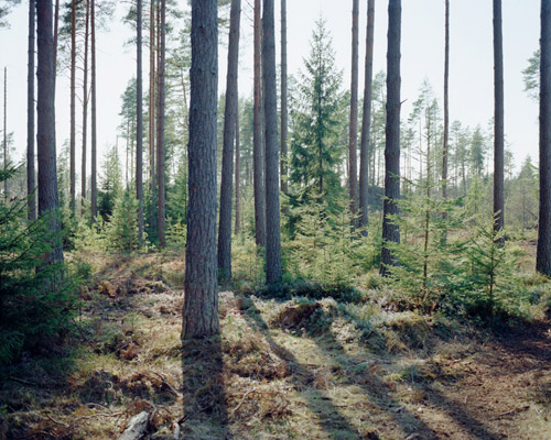 gustav gustafsson photographer photography