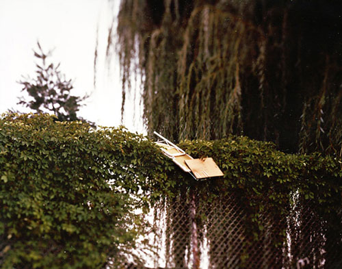 jon feinstein photography photographer