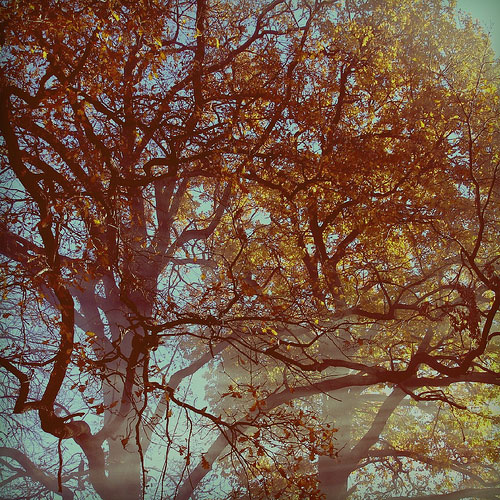 Lukas Wierzbowski photographer photography