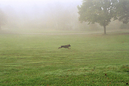 maximilian haidacher photographer photography