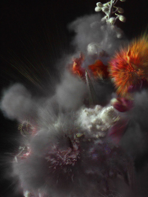 ori gersht photography photographer exploding flowers