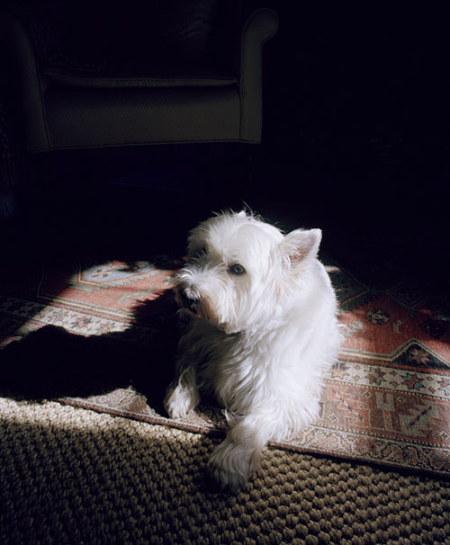 sam falls photographer photography