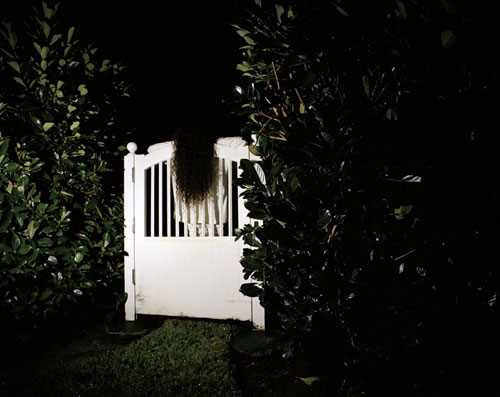 sam falls photographer photography