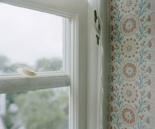 sam falls photographer photography