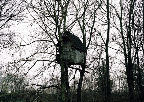 stefanie pluta photographer photography