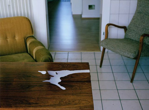 stefanie pluta photographer photography