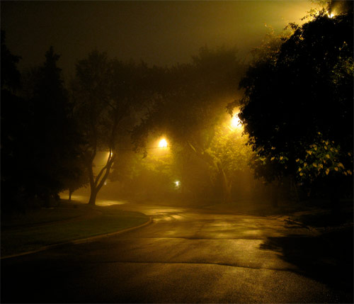 andre vautour photographer photography