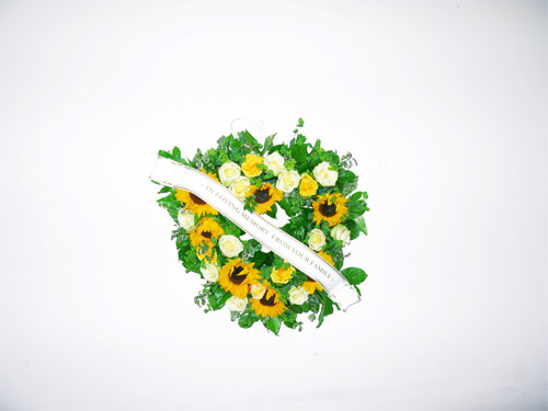 andre vautour photographer photography