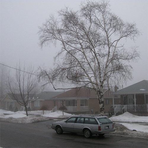 andre vautour photographer photography