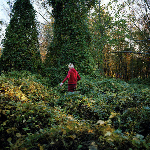 clara balzary photographer photography new york city