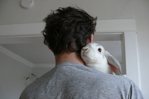 debbie carlos photographer photography chicago