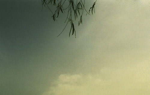 debbie carlos photographer photography chicago