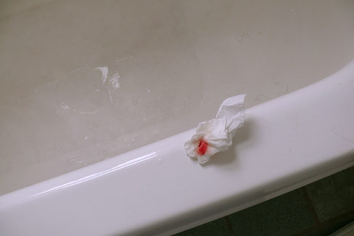 debbie carlos photographer photography chicago