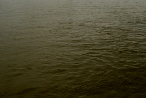 debbie carlos photographer photography chicago