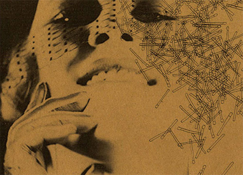 erin rommel beirut the flying cub cup design book canvas