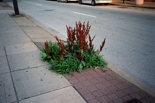 eva michon photographer photography bad day toronto