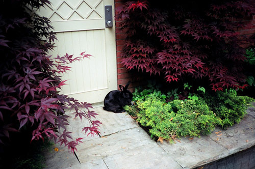 eva michon photographer photography bad day toronto