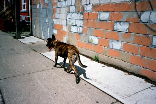 eva michon photographer photography bad day toronto