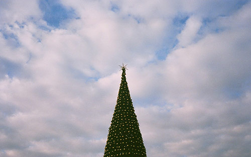 Liliya Gabdrakhmanova photographer photography russia