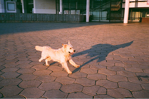 Liliya Gabdrakhmanova photographer photography russia