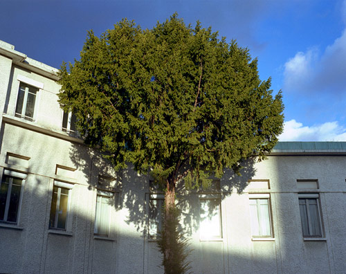 laurent gaudart photographer photography