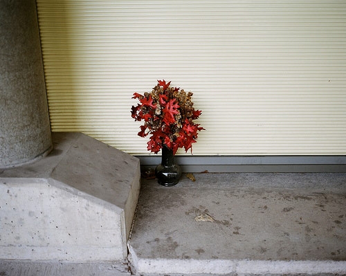 pauline magnenat-fuchs photographer photography