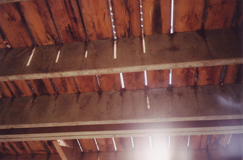 olivia boone photographer photography