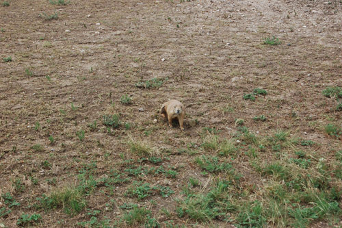 olivia boone photographer photography