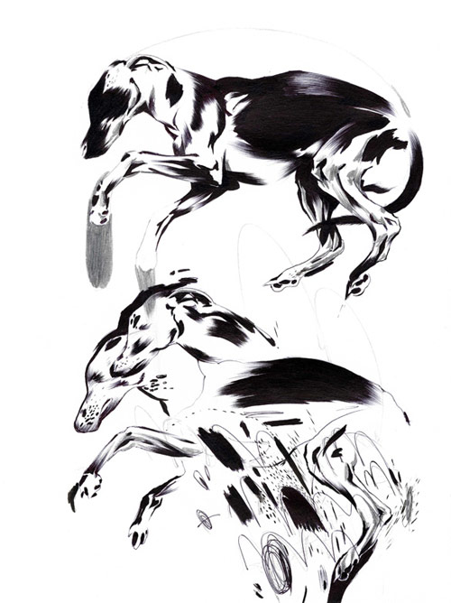shawn kuruneru drawing artist montreal ink black white