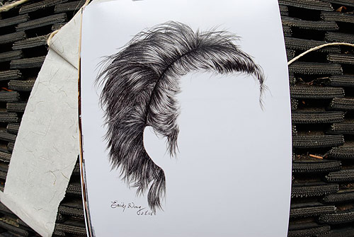 emily wong hair drawing