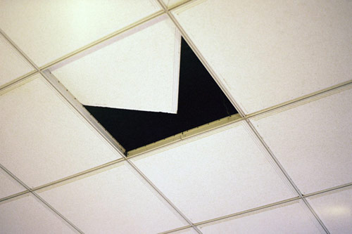 joyce kim photographer photography